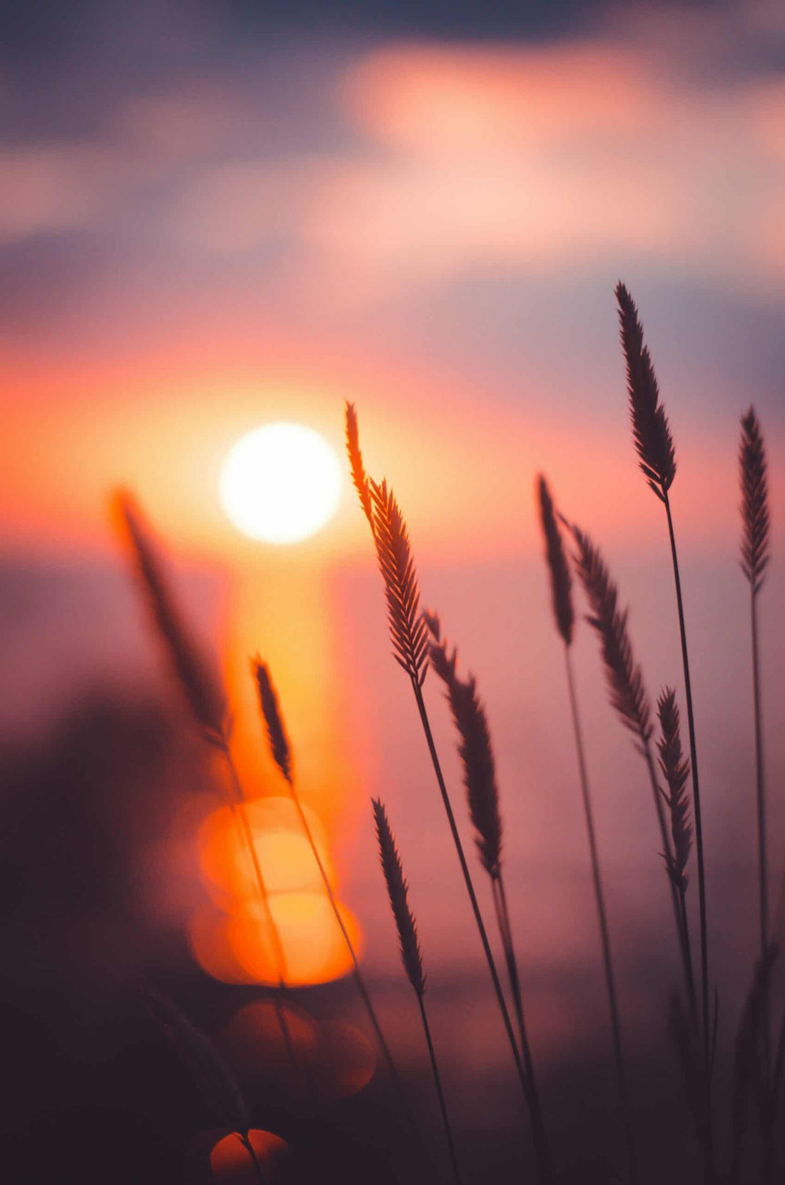 Embracing Daylight Saving Time with Energizing Scents