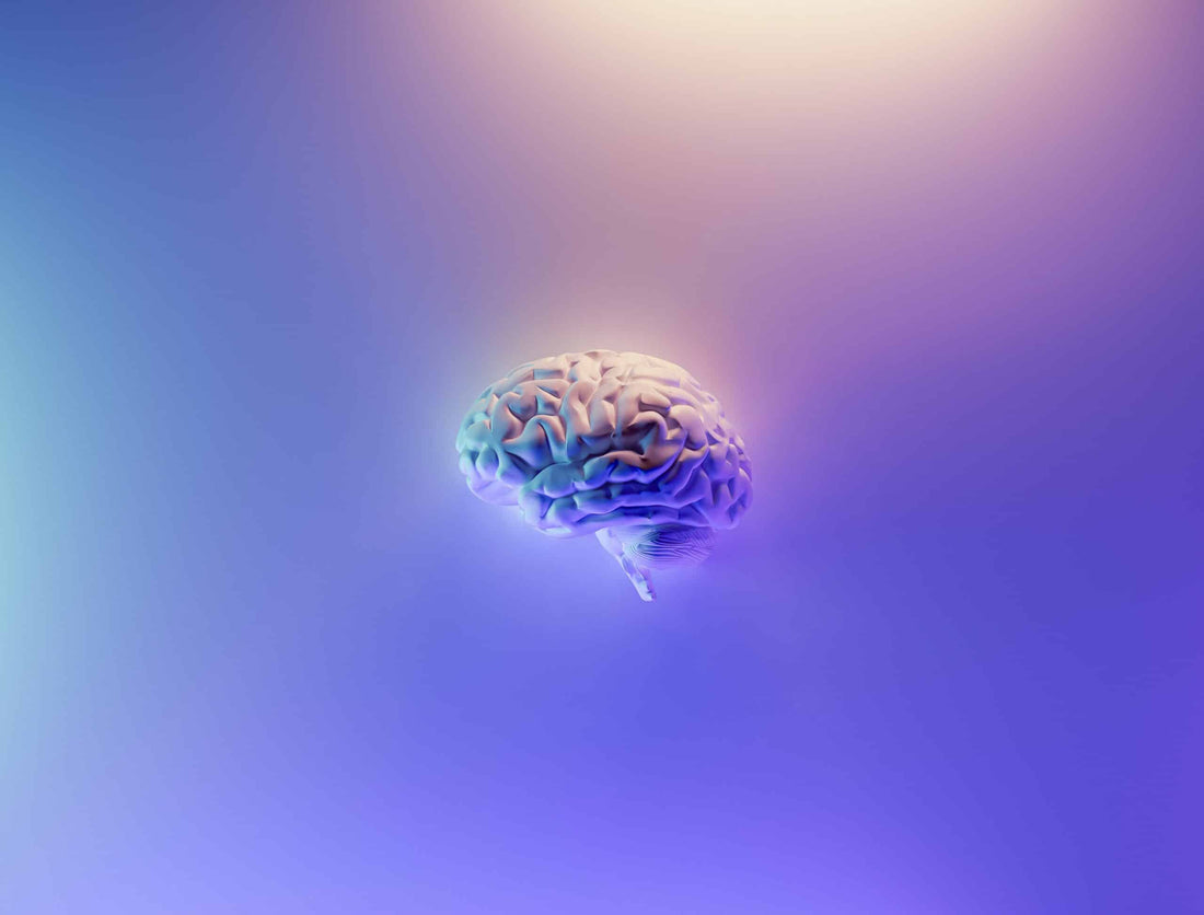 The Science of Nostalgia: How Scent Can Bring Back Memories