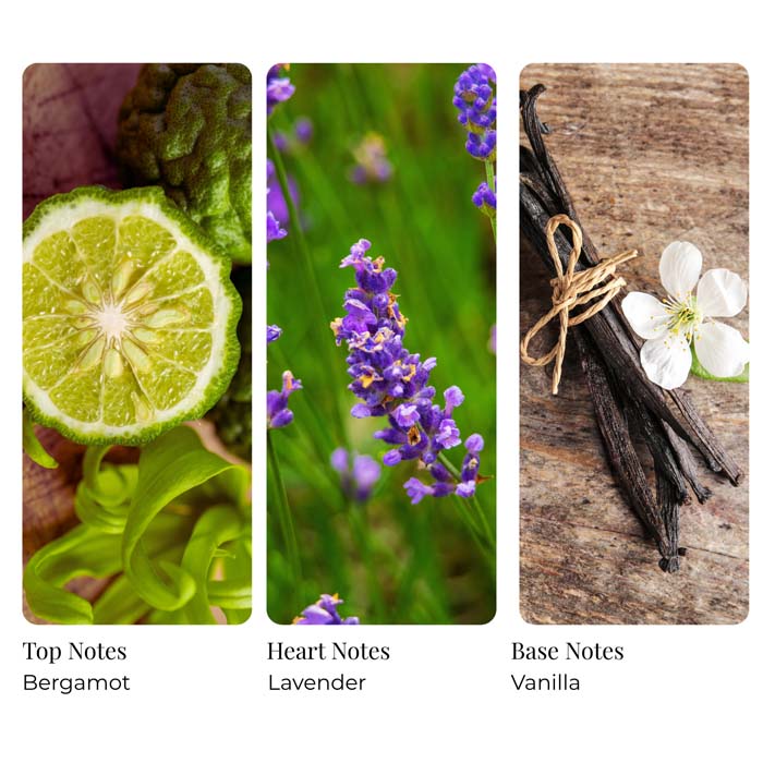 Bergamot Vanilla