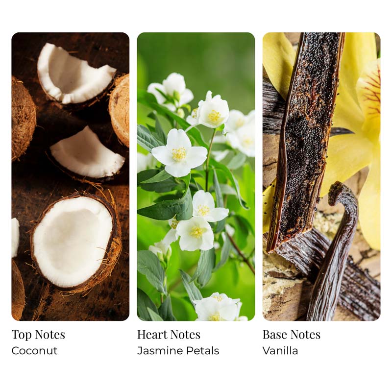 Coconut