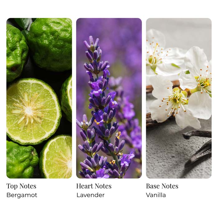 Lavender Vanilla