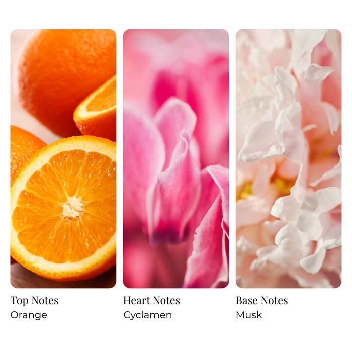Sol & Sand