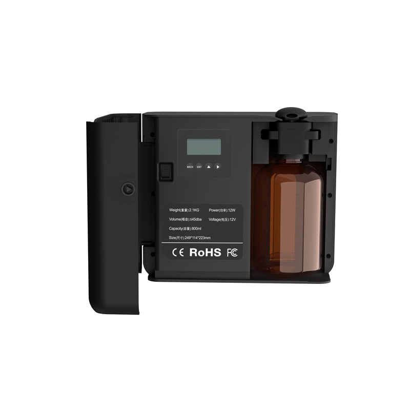 The Radiant (Black)