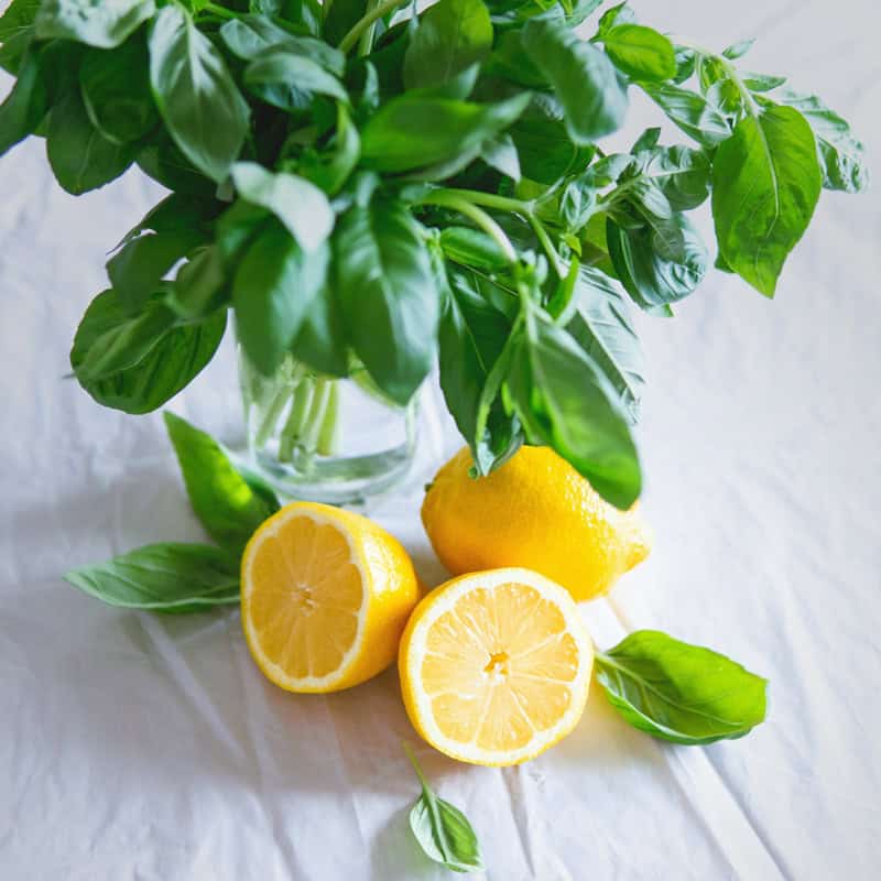 Verbena Aroma Oil | Lemon, Jasmine & Green Mint