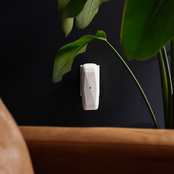 Introducing The Diamond: Revolutionizing Scenting Technology