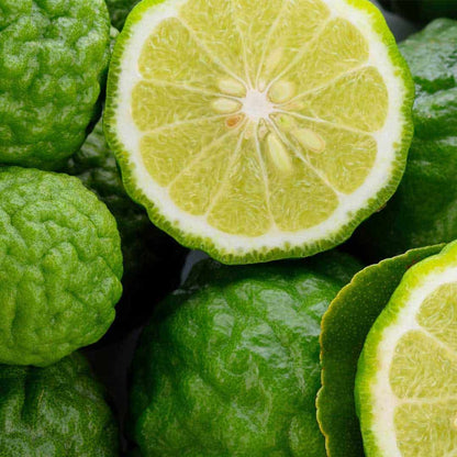 Sliced bergamot citrus fruits, a key ingredient in aroma oils and reed diffusers