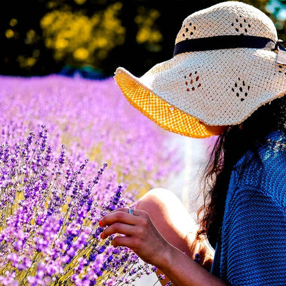 Woman in straw hat smelling lavender blooms in a purple lavender field