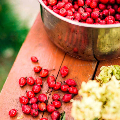 Rose hips collected in a metal bowl on a wooden surface, used in natural aroma oils