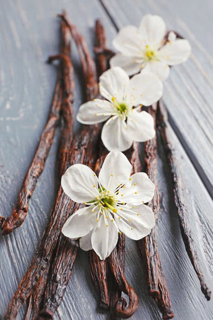 Vanilla beans and white blossoms on rustic wood, warm scent diffuser fragrance notes