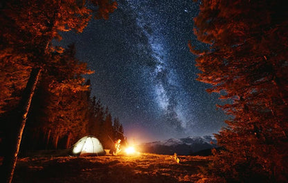 Campers beside a glowing tent under a starry Milky Way sky in a forest