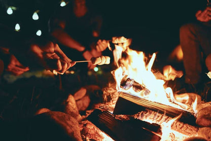 Group of people roasting marshmallows over a glowing campfire at night