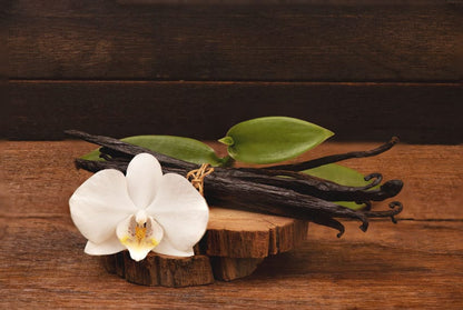 Vanilla beans and white orchid flower on a wood slice, evoking white tea scent and spa scenting blends