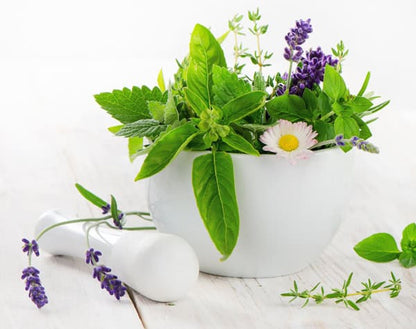 Fresh herbs and lavender in a white mortar and pestle, ideal for natural room sprays and aroma oils