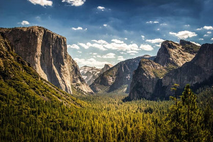 Panoramic view of Yosemite Valley with pine forests and granite cliffs