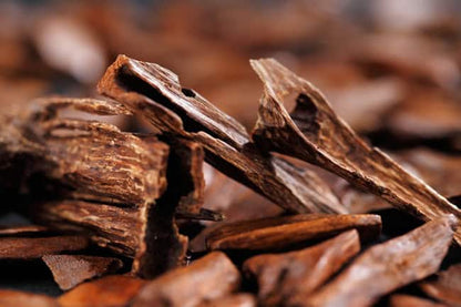 Close-up of rich oud wood chips used in luxury aroma oils
