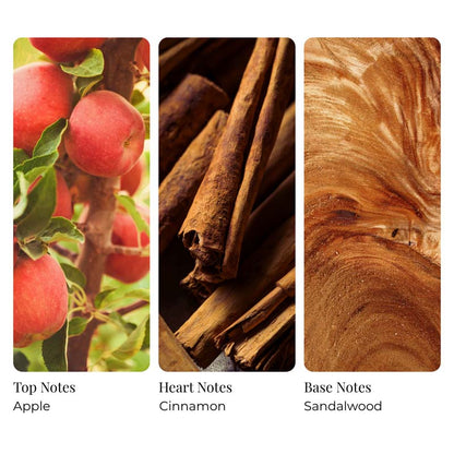 Apple Orchard