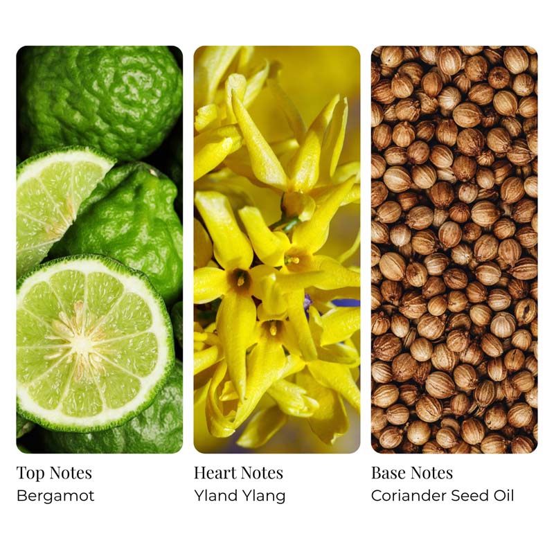 Asian Mint