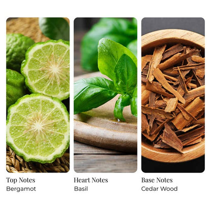 Bergamot Spice