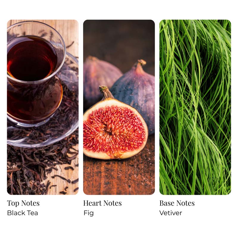 Black Tea and Fig