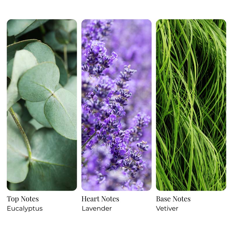 Bug Off Botanicals