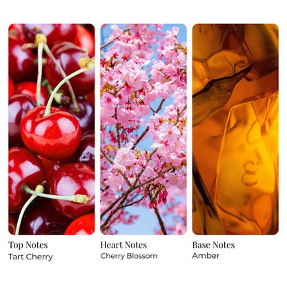 Cherry Blossom