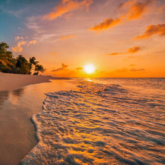 Tropical beach sunset with palm trees and golden ocean waves on white sand shore