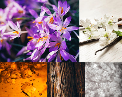 Fragrance notes collage: crocus, vanilla blossom, amber, driftwood, and sugar crystals