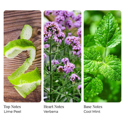 Crushed Lime Mint