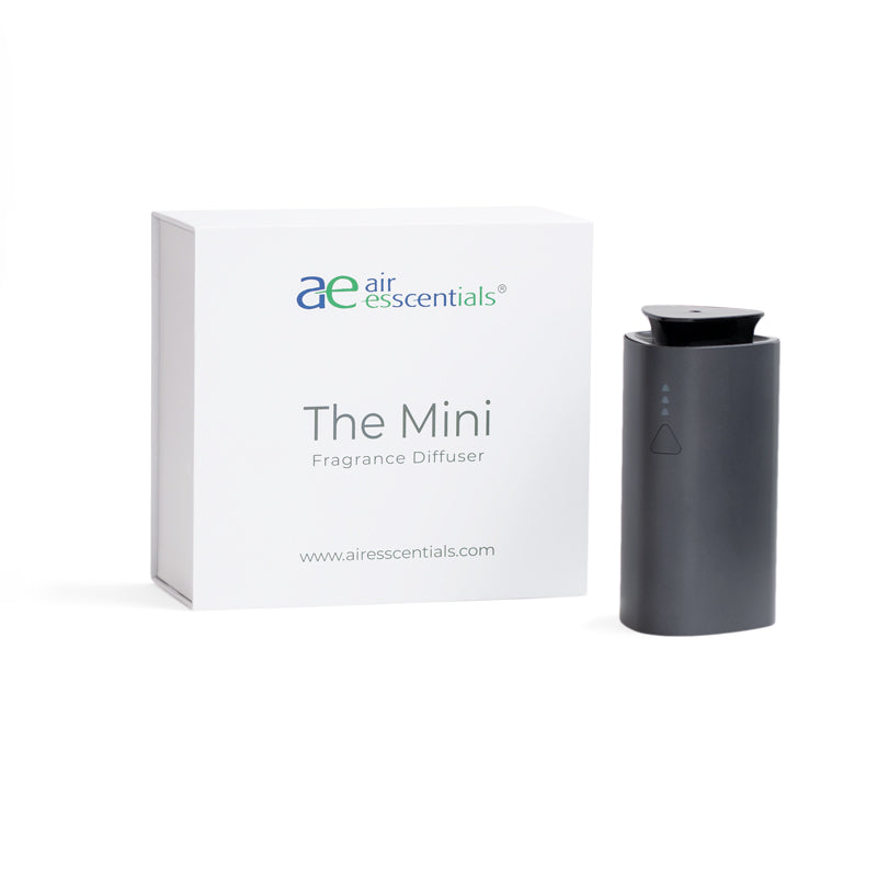 The Mini