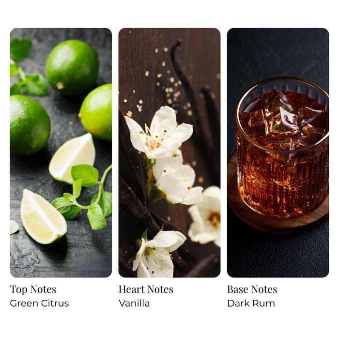Dark Vanilla