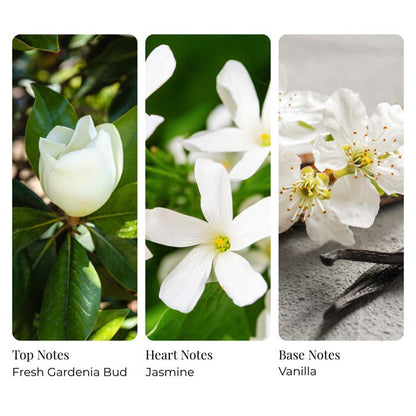 Gardenia
