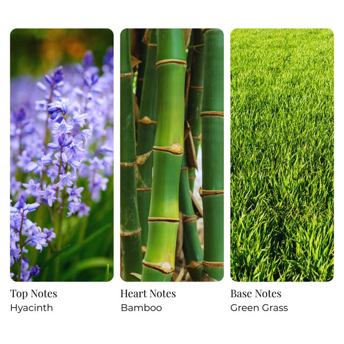 Green Bamboo