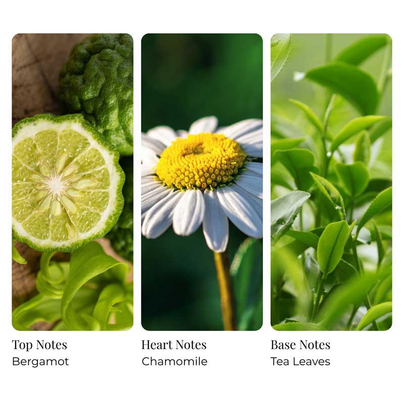 Green Tea