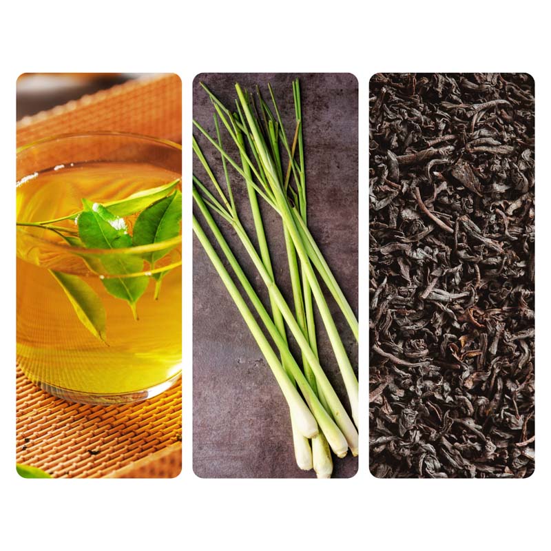 Green Tea Lemongrass Candle | Limited Edition
