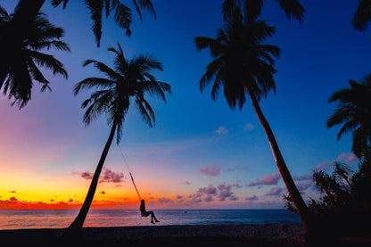 Silhouette of person on a palm tree swing at tropical beach sunset