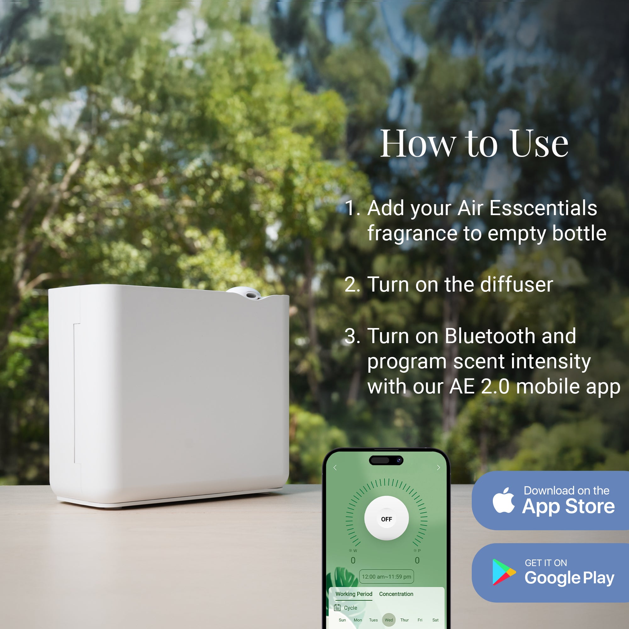 The Radiant Package - Thumbnail 2