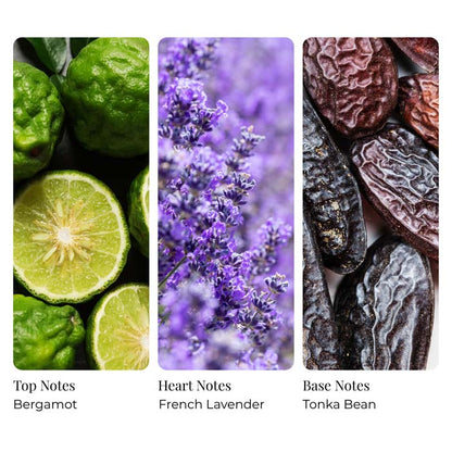 Lavender Leaves