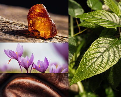 Collage of amber resin, saffron crocus flowers, green leaves, and leather texture for aroma oils