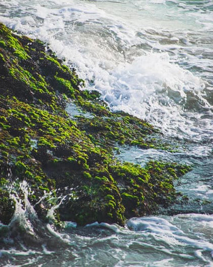 Ocean waves crashing over moss-covered rocks along a rugged coastline