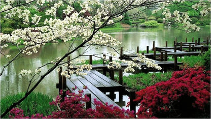 Japanese garden with blooming dogwood, red azaleas, and wooden dock over a calm pond