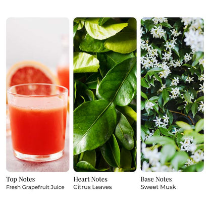 Pink Grapefruit