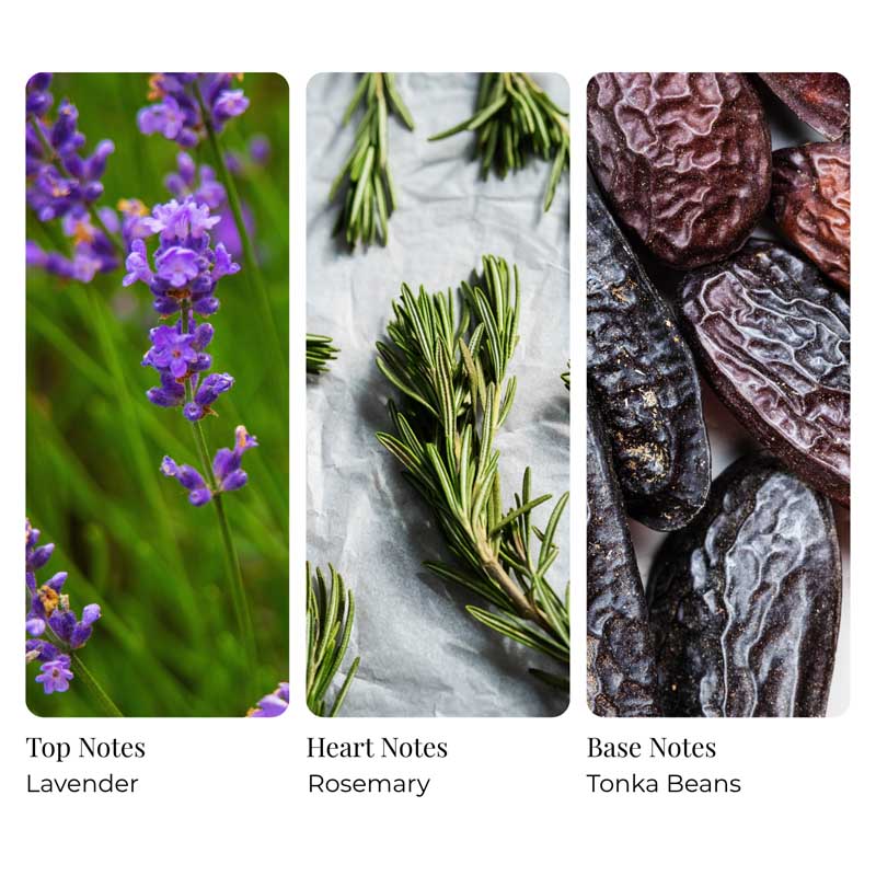 Restful Lavender