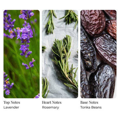 Restful Lavender