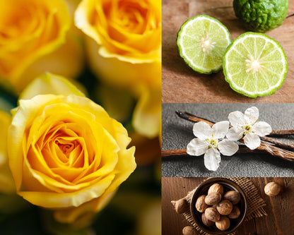 Fragrance notes collage featuring yellow roses, bergamot, vanilla blossom, and nutmeg