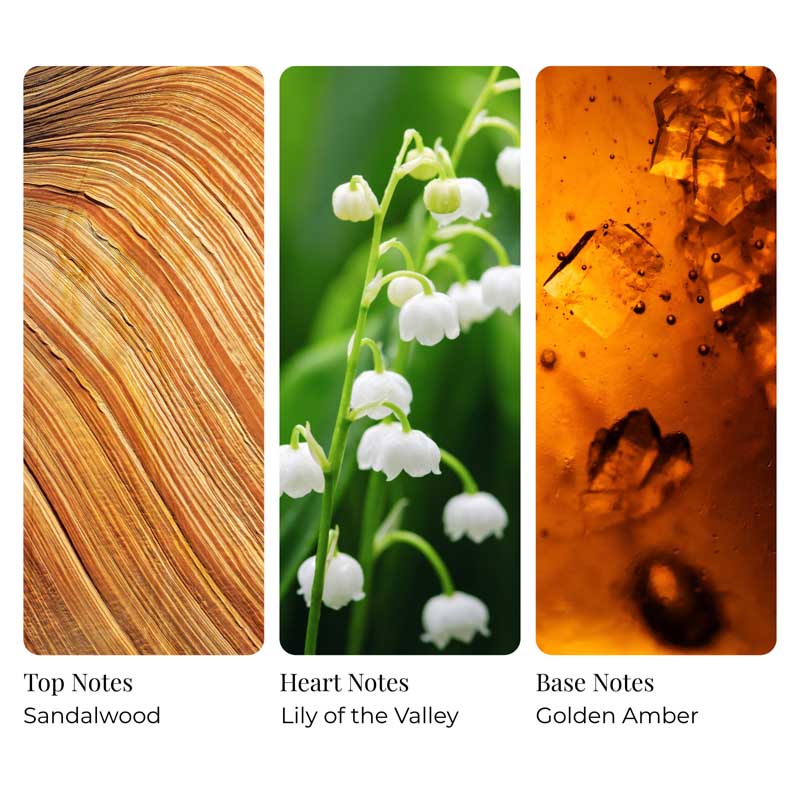 Sandalwood Gold