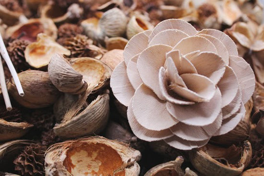 Sensual Wood