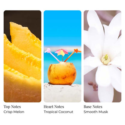 Tropical Sensation