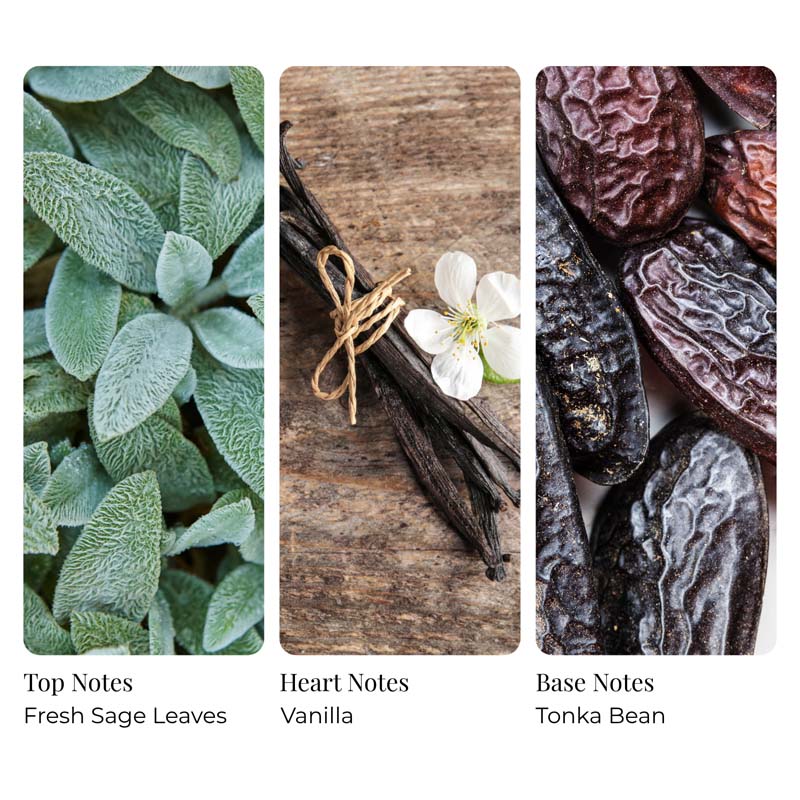 Vanilla Cedarwood Sage