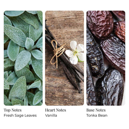 Vanilla Cedarwood Sage