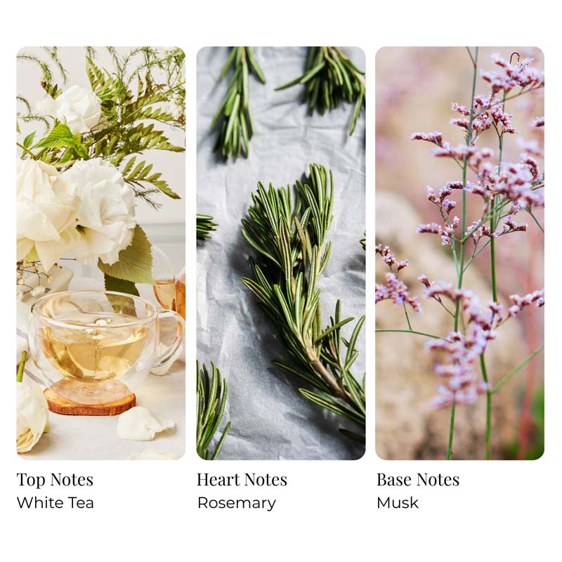 White Tea Bamboo & Rosemary